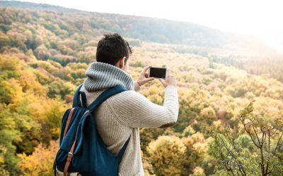 How is data from Citizen Science projects managed?