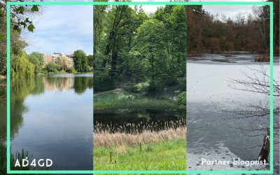 New IoT oxygen sensors will for the first time monitor the condition of 3 Berlin lakes