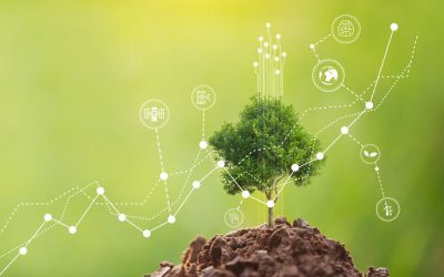 A new CORDIS results pack highlights AD4GD and five other projects using AI to support the European Green Deal and data strategy.